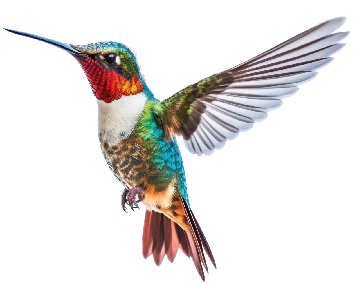 colibrí png con ai generado.