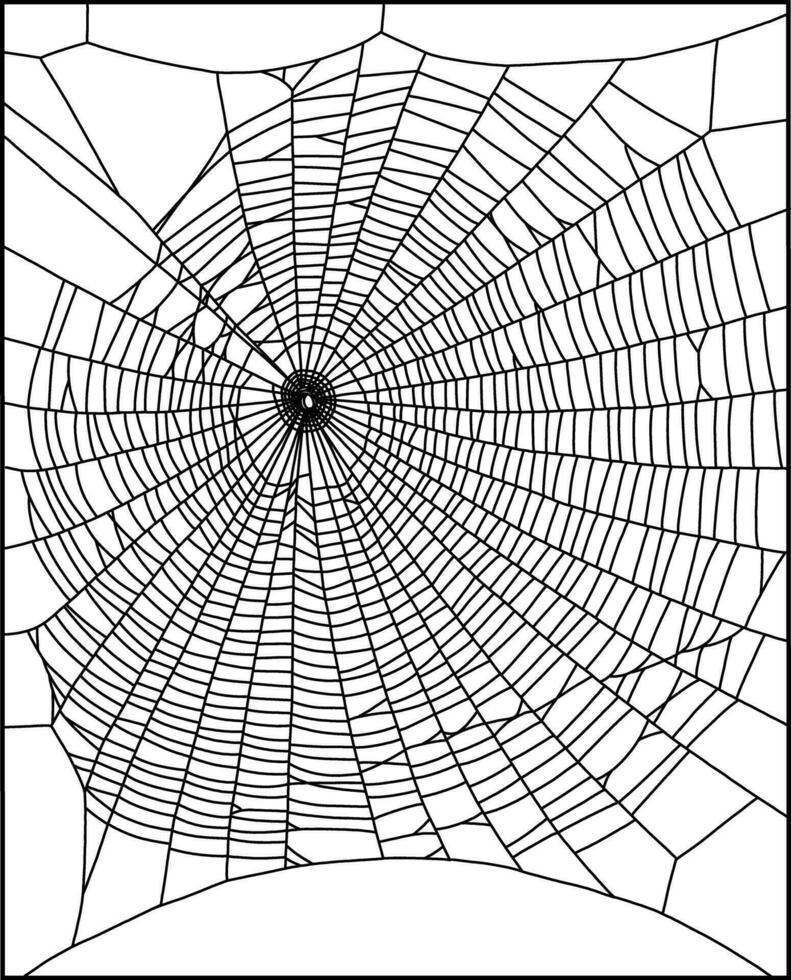 detallado y intrincado araña web vector