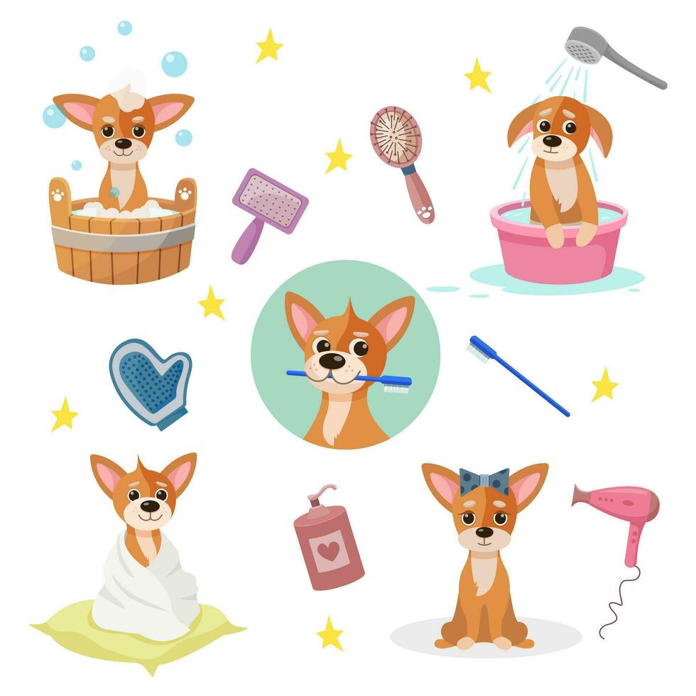 Pet care concept. Collection of cute dogs. Pet care graphic resource for graphics, content, banners, greeting cards. Vector illustration in cartoon style. Pet grooming tools.