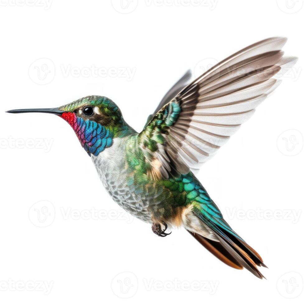 Blue vivid Broad Billed Hummingbird isolated. Illustration AI Generative photo