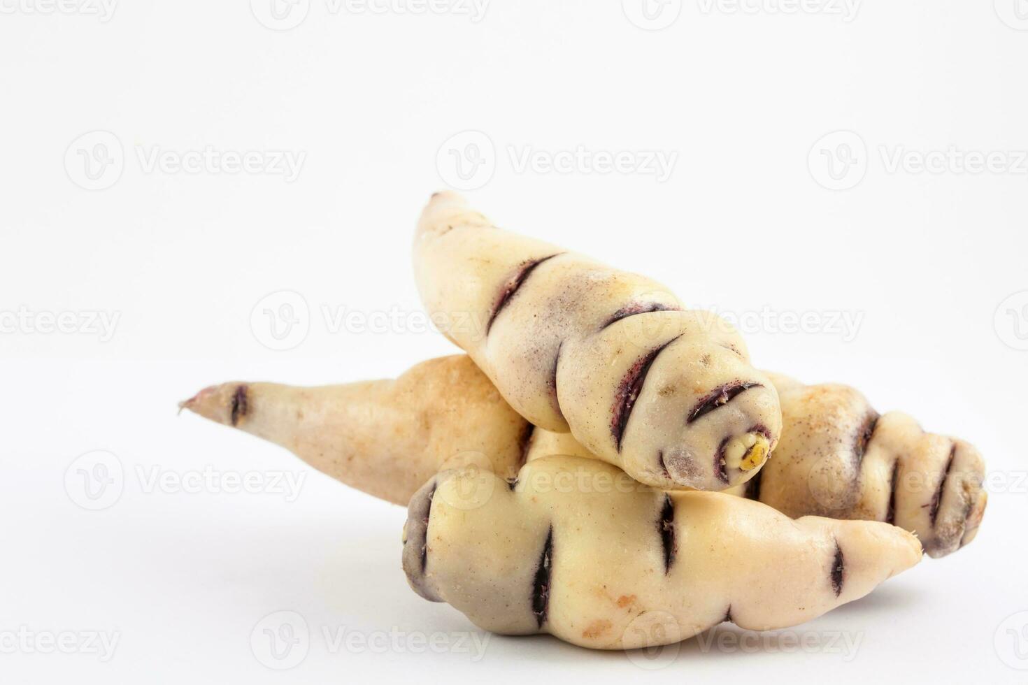 Cubios isolated on white background. Tropaeolum tuberosum photo