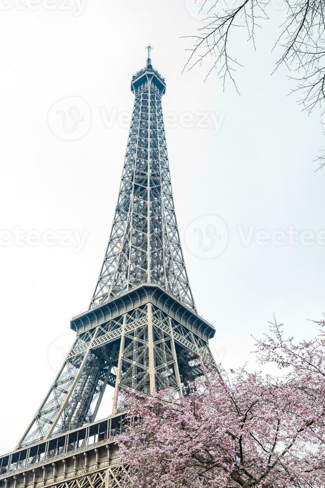 el famoso excursión eiffel cuando el primavera es sólo comenzando foto