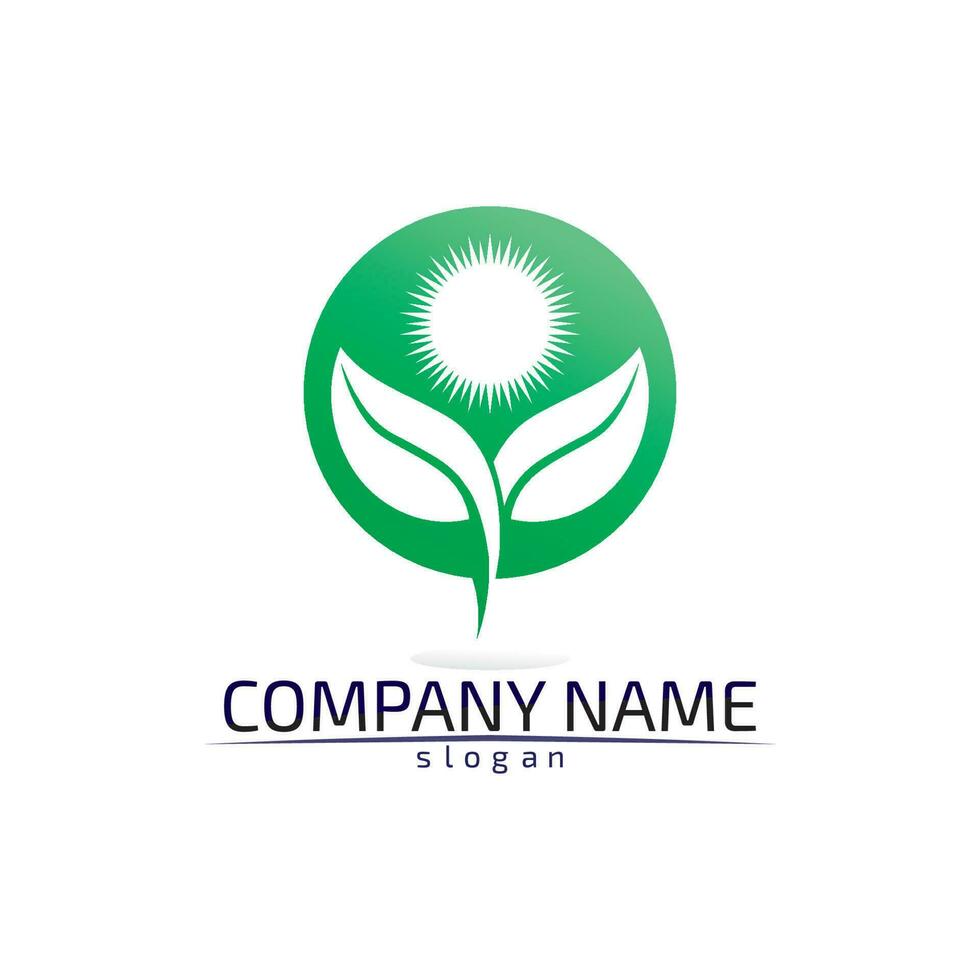 Tree leaf vector design eco friendly concept logo