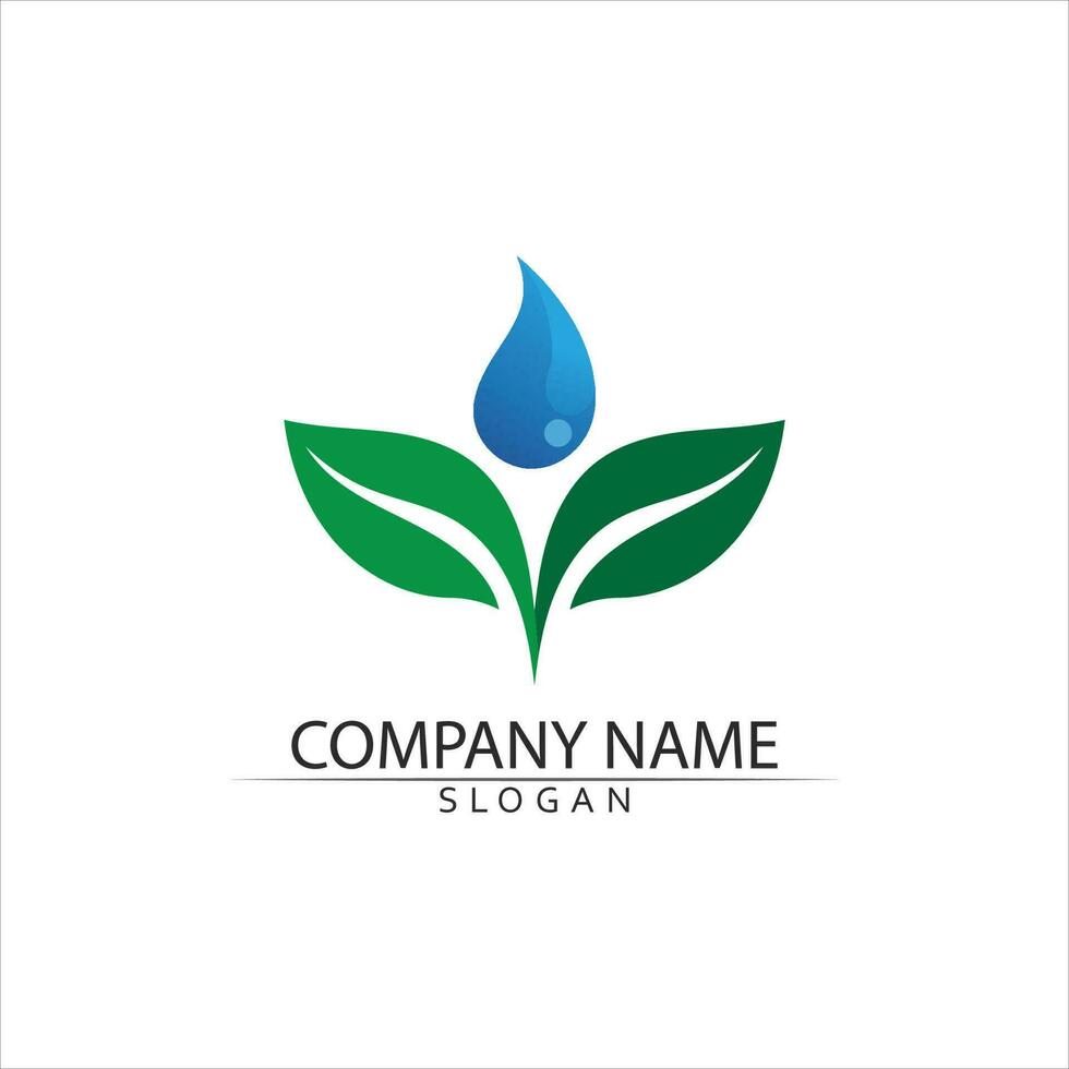 Tree leaf vector and green logo design friendly concept