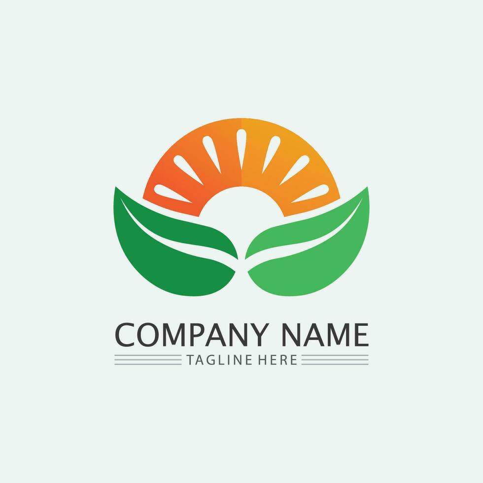 Tree leaf vector and green logo design friendly concept