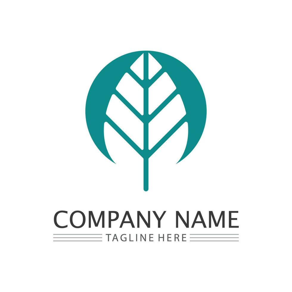 Tree logo icon vector illustration design.Vector silhouette of a tree templates of tree logo and roots  tree of life design illustration
