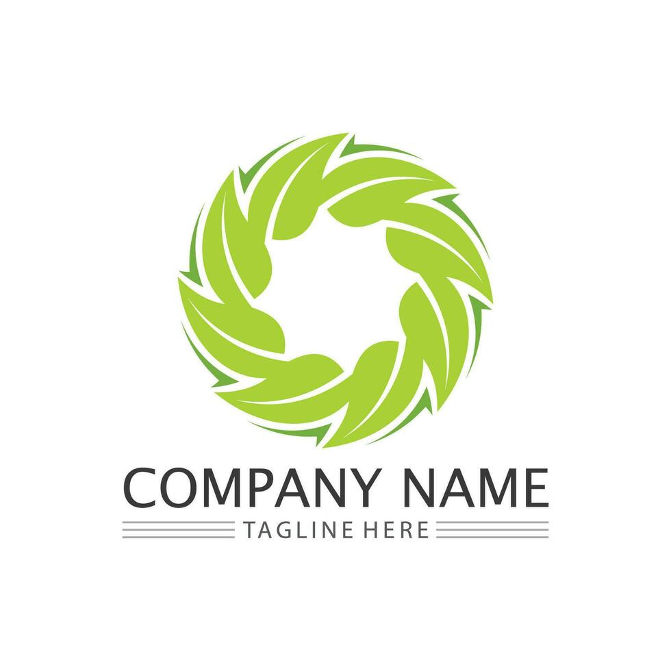 Eco Energy Vector Logo with leaf symbol. Green color with flash or thunder graphic. Nature and electricity renewable. This logo is suitable for technology, recycle, organic.