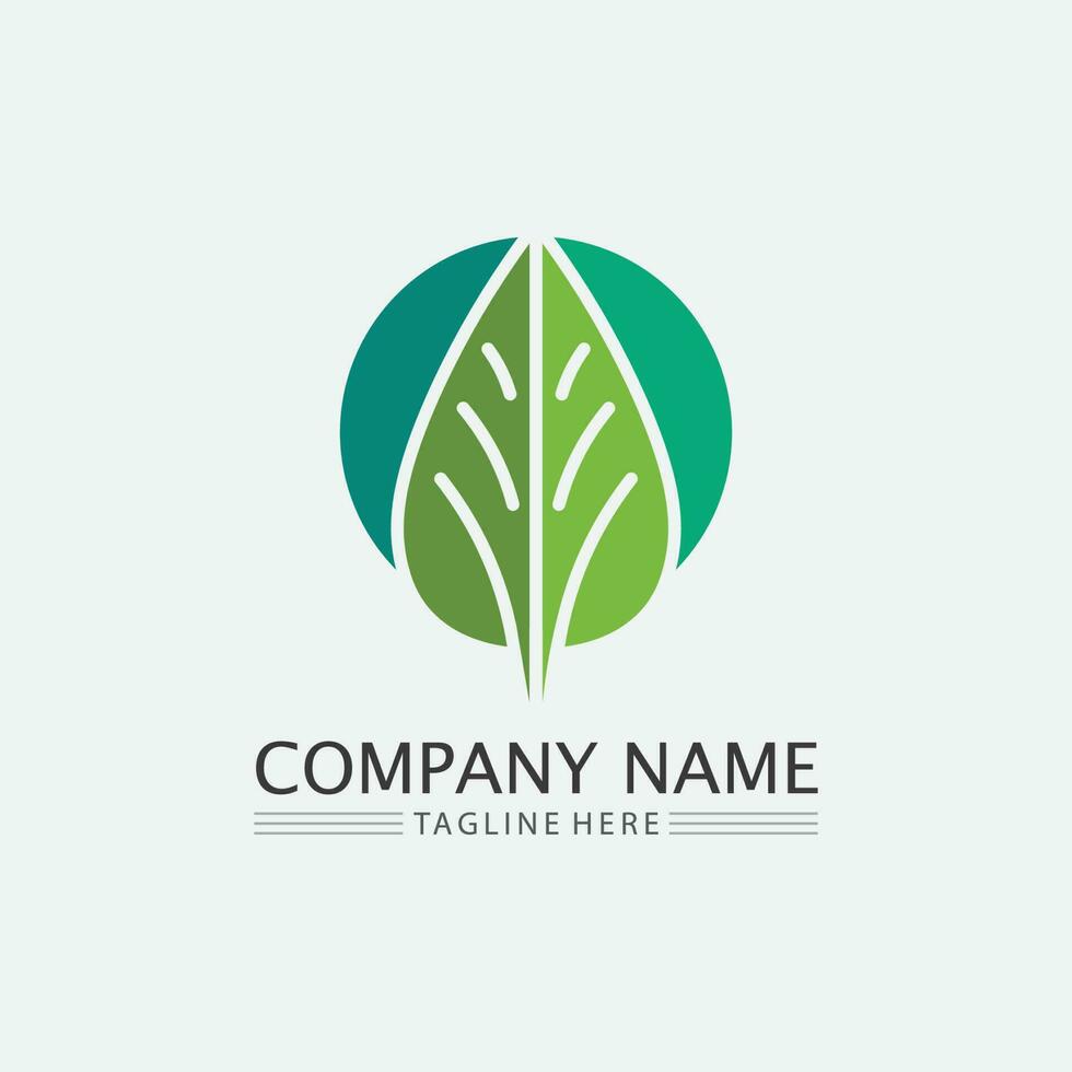 LEAF AND NATURE TREE LOGO FOR BUSINESS VECTOR GREEN PLANT ECOLOGY DESIGN