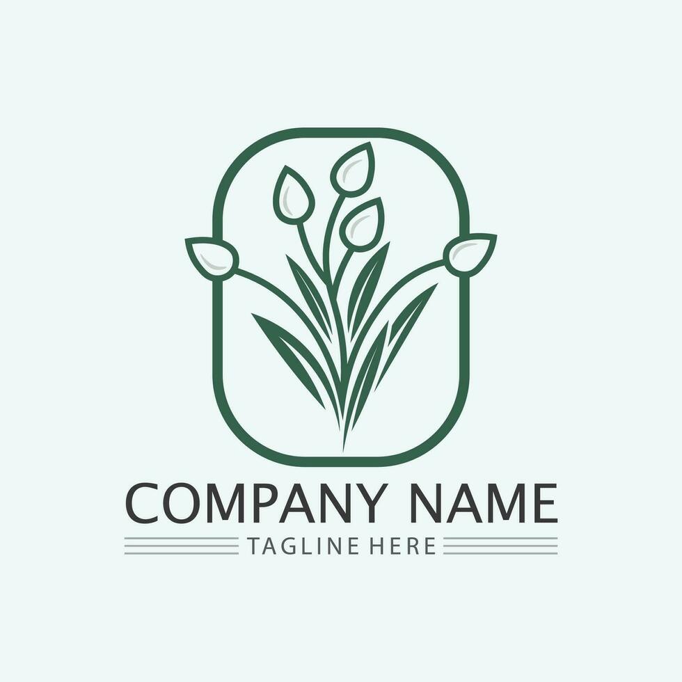 leaf logo design vector for nature symbol template editable,Green leaf logo ecology nature element vector icon.