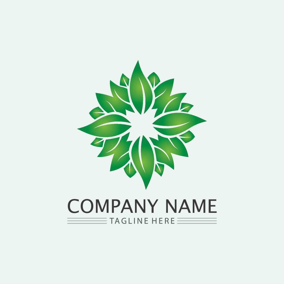 Tree leaf vector and green logo design friendly concept