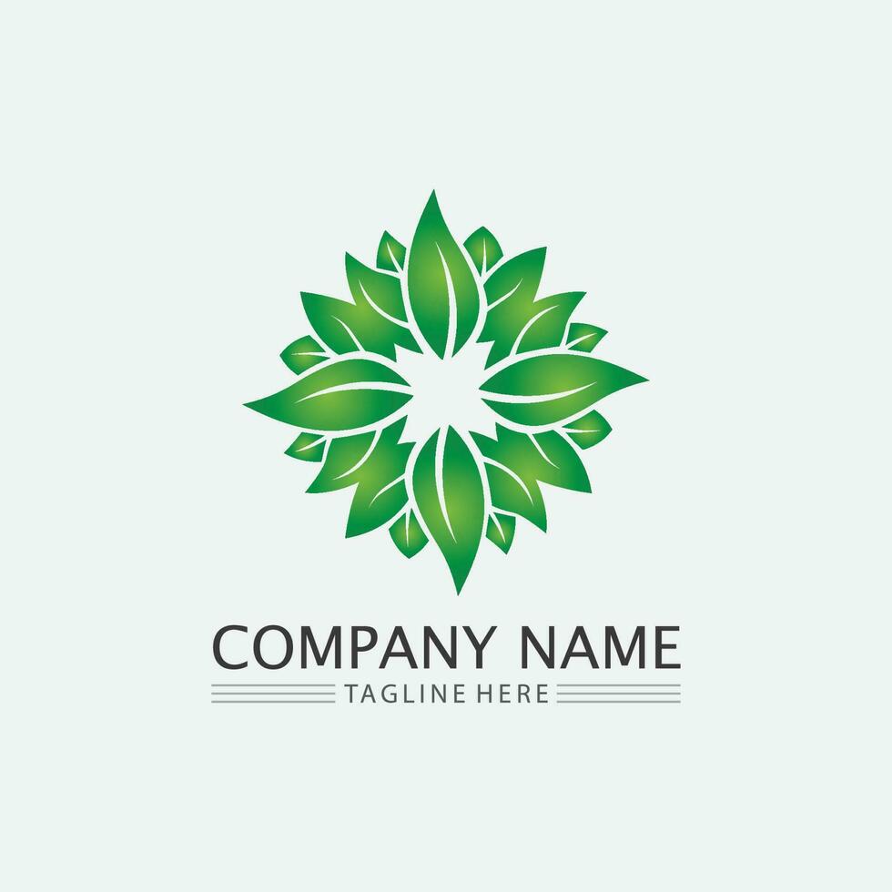 vector de hoja de árbol y concepto amigable de diseño de logotipo verde