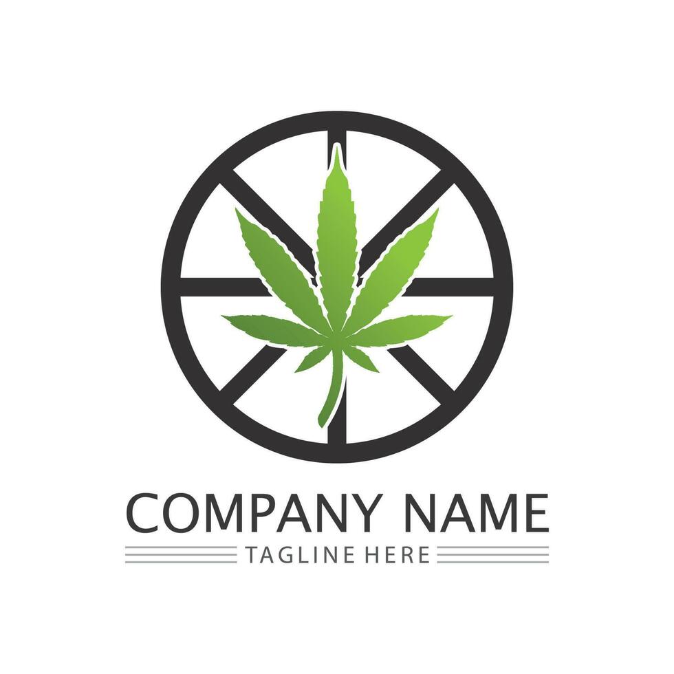 cannabis logo and marijuana leaf icon vector design