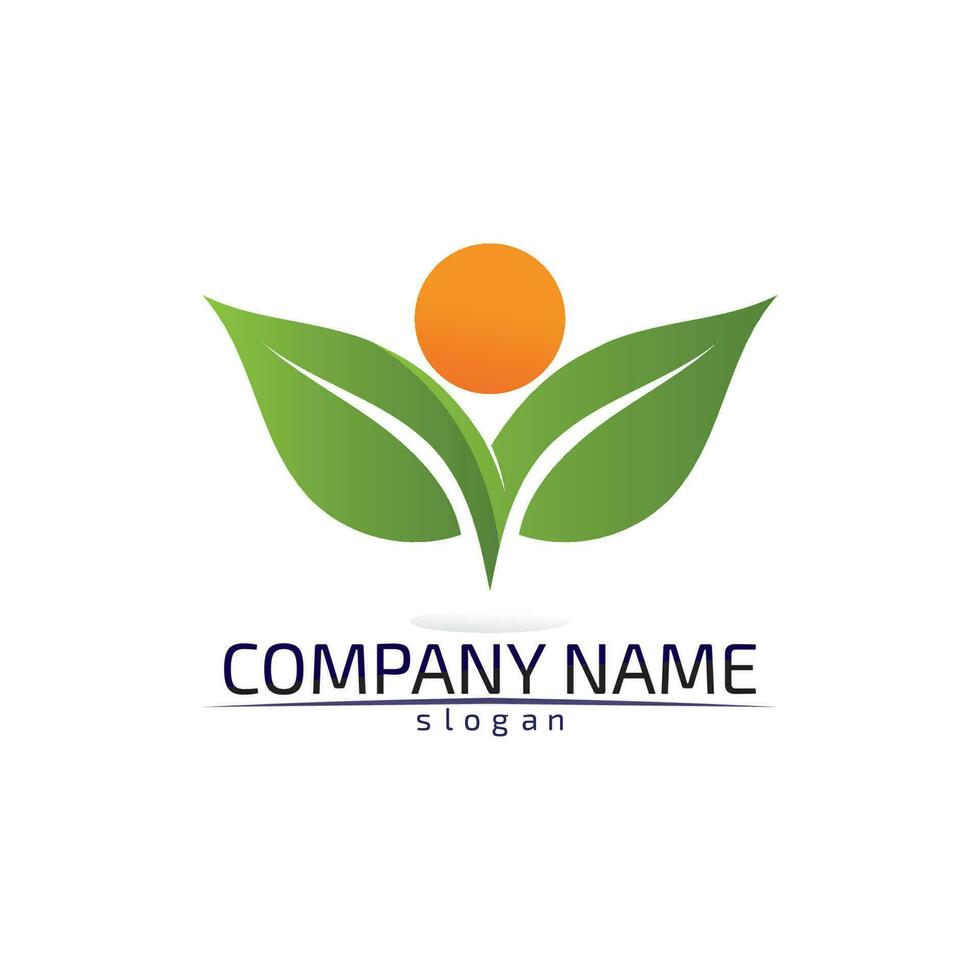 Tree leaf vector design eco friendly concept logo