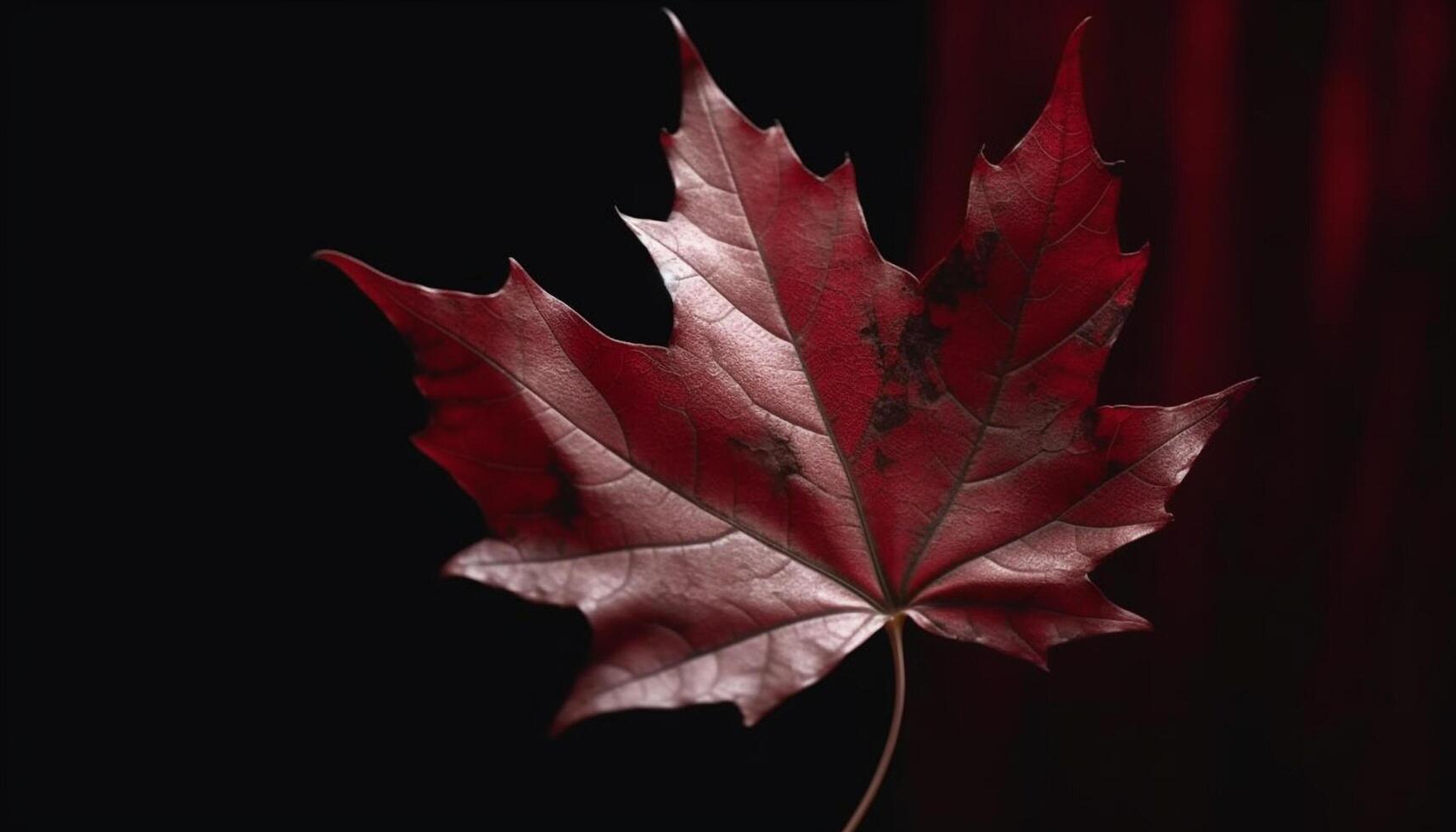 Vibrant maple leaf, beauty in nature pattern generative AI photo