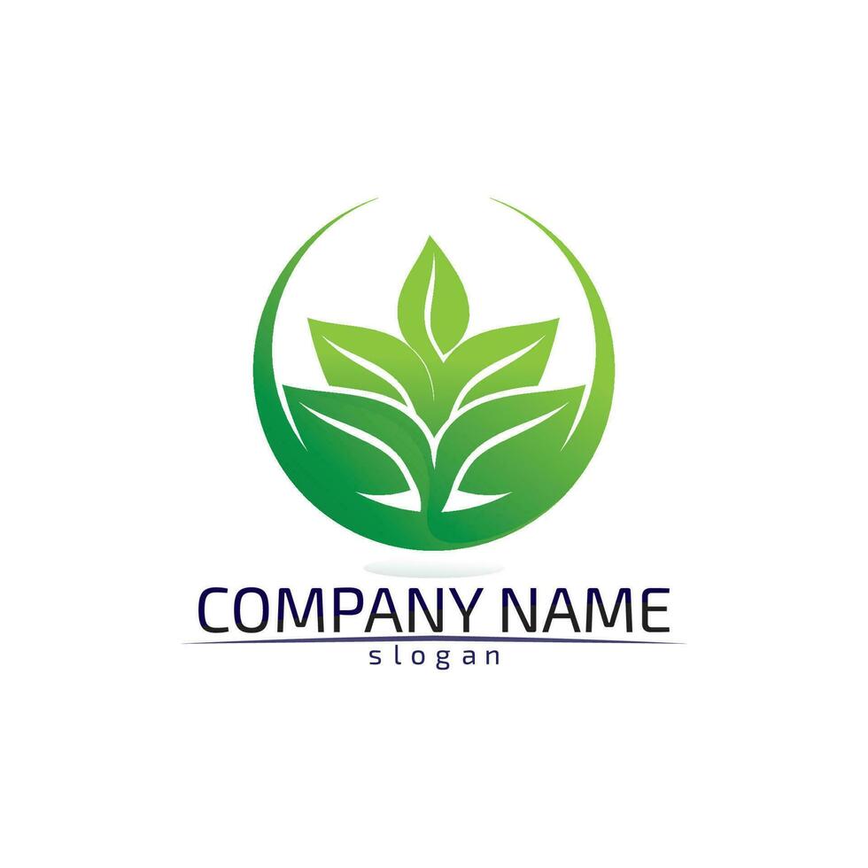 Tree leaf vector design eco friendly concept logo