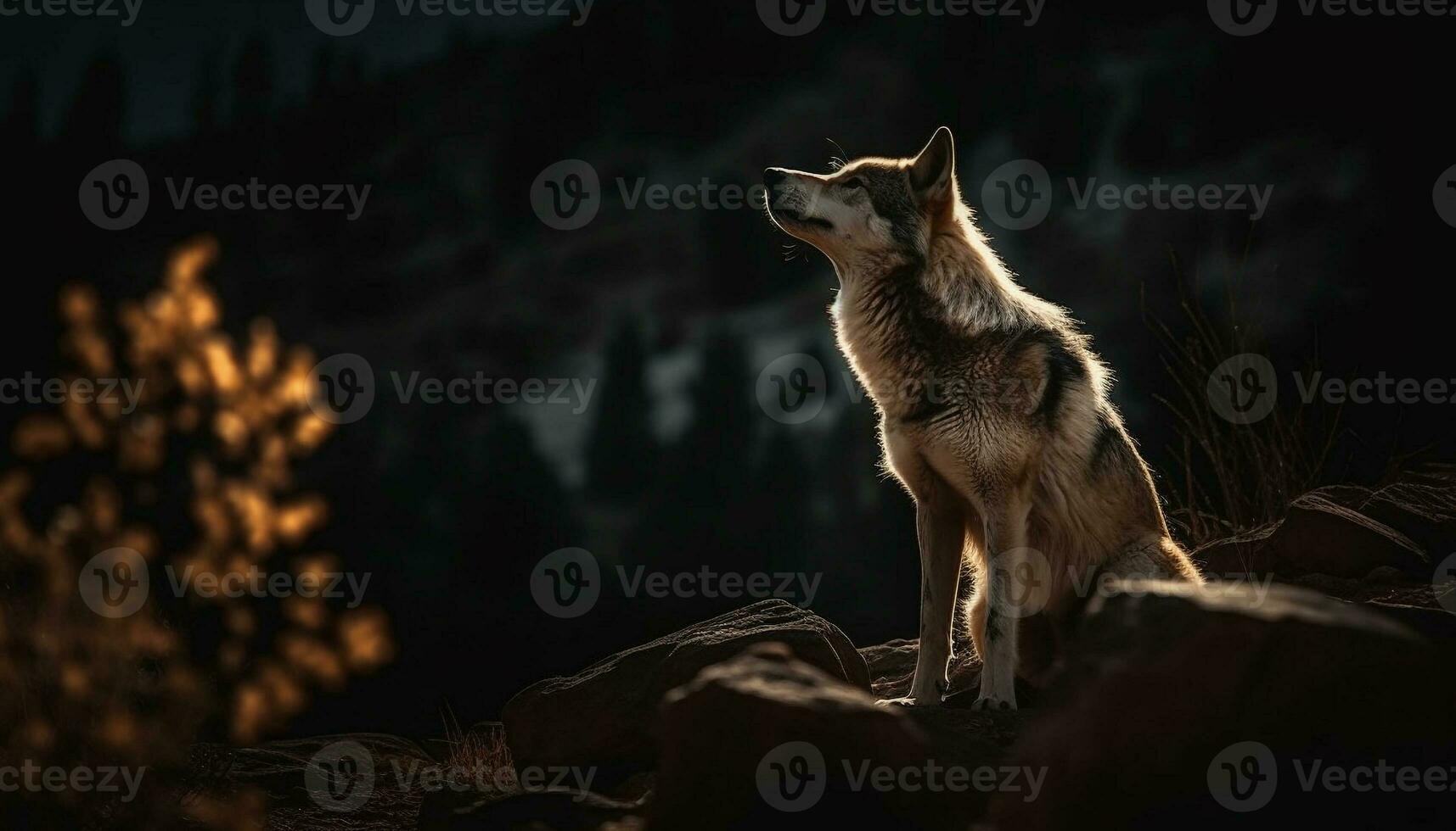 Young wolf sitting in winter forest night generated by AI photo