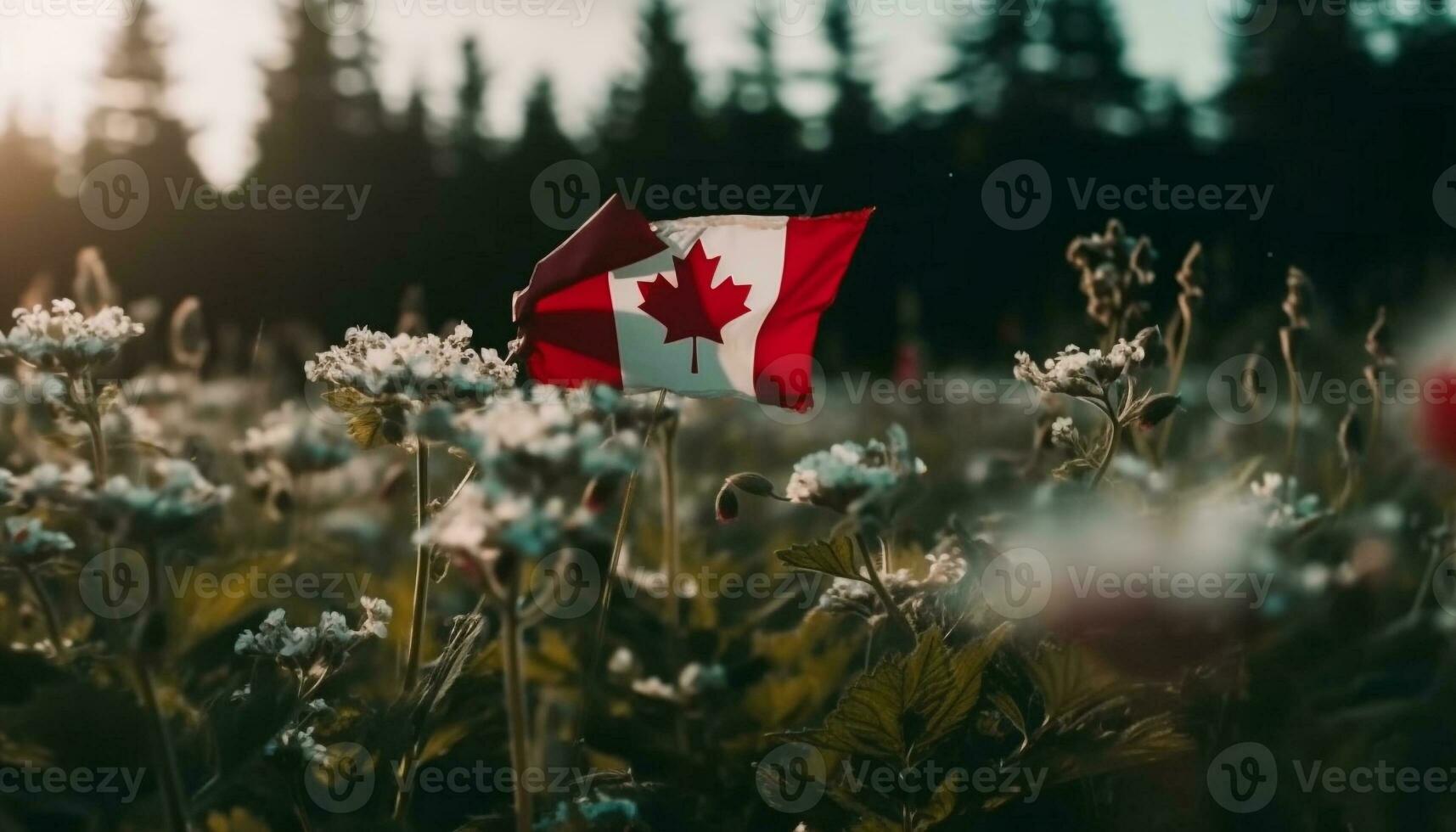 Canadian flag symbolizes patriotism in nature beauty generated by AI photo