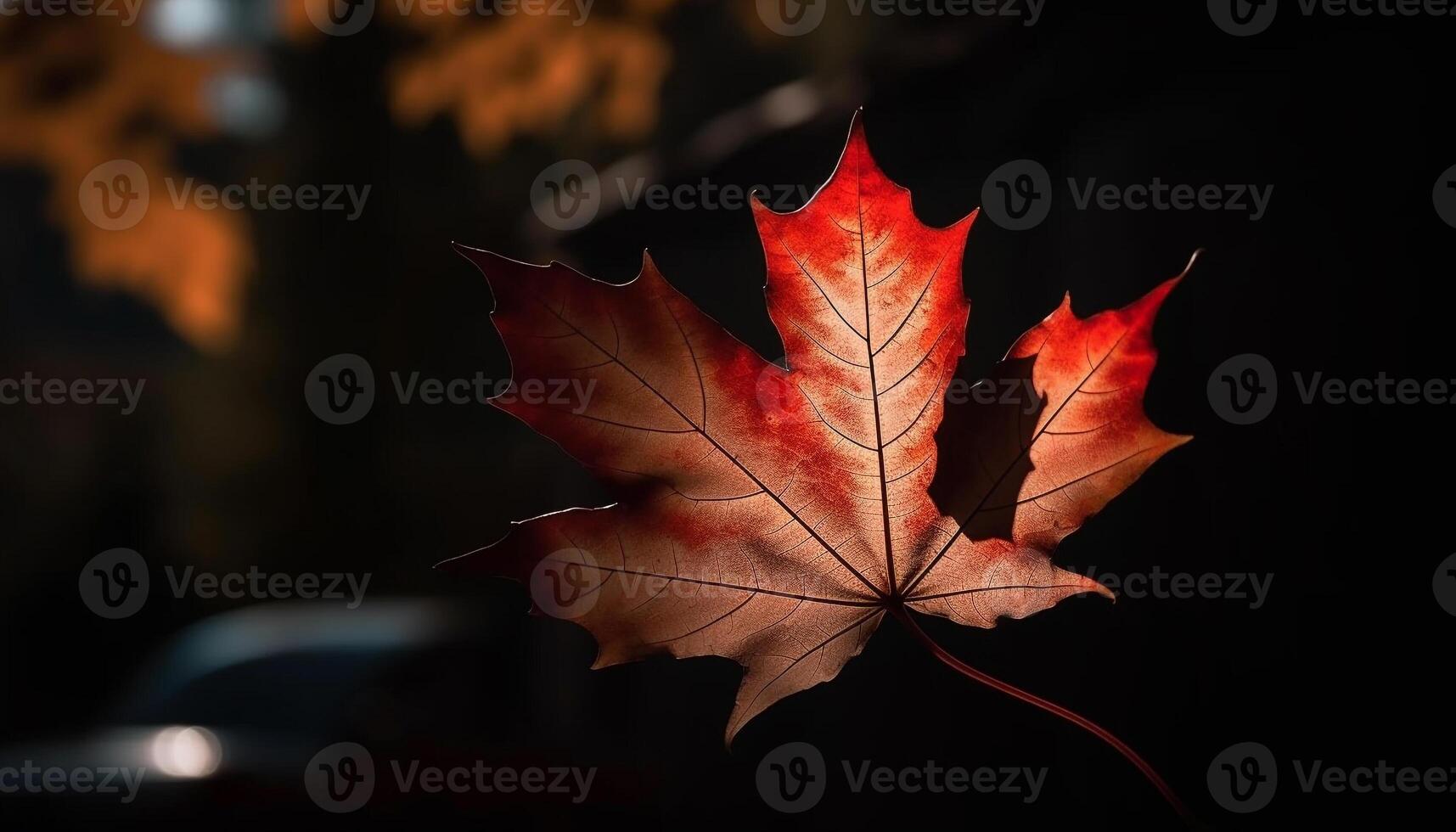 Vibrant autumn maple leaf, symbol of change generated by AI photo