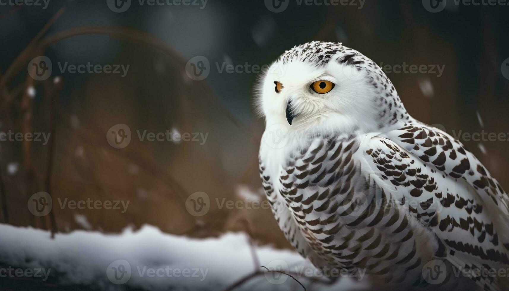 Snowy owl perched on branch, staring fiercely generated by AI photo