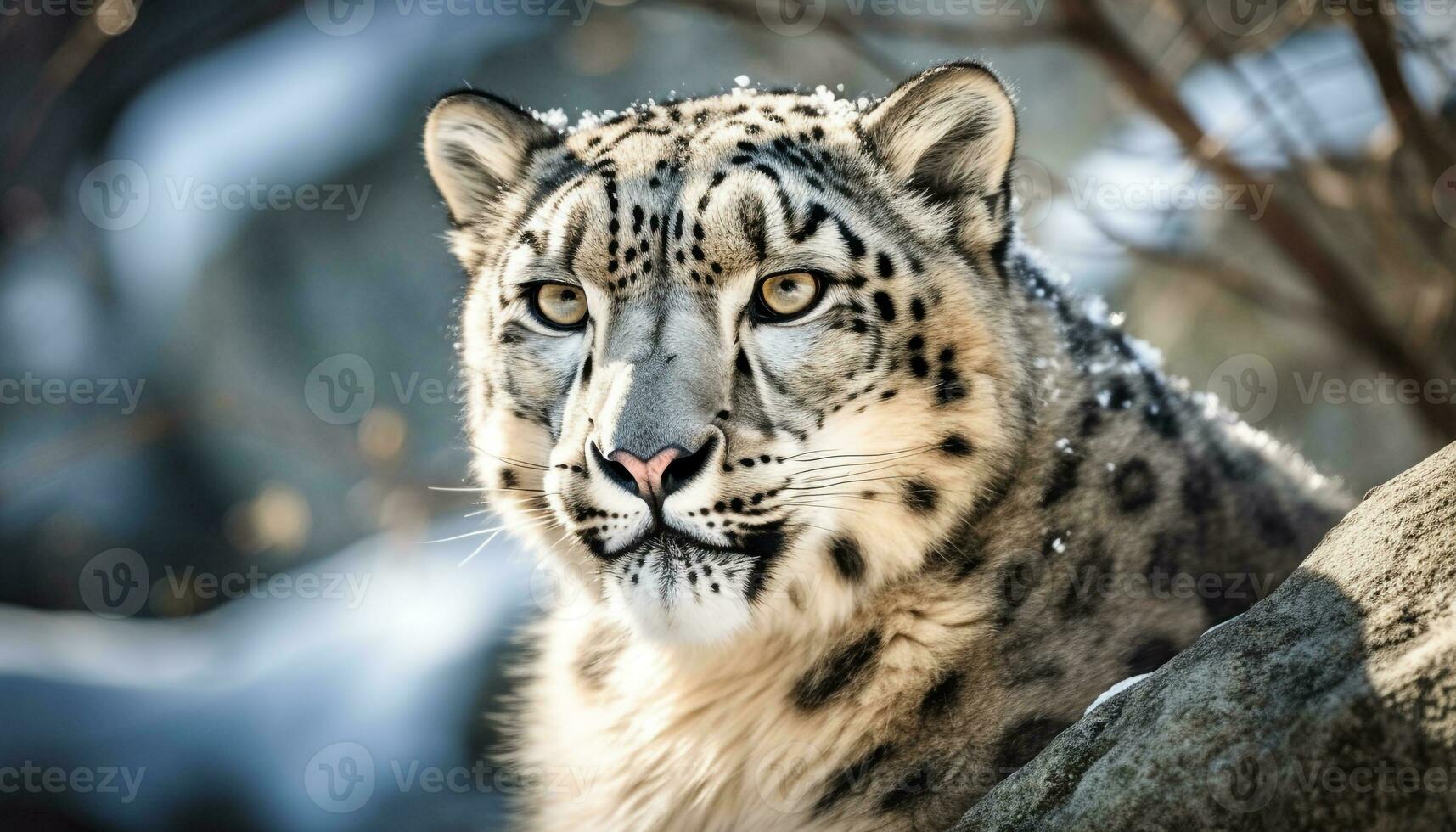 majestuoso Tigre curioso, peligro en sus ojos generativo ai foto