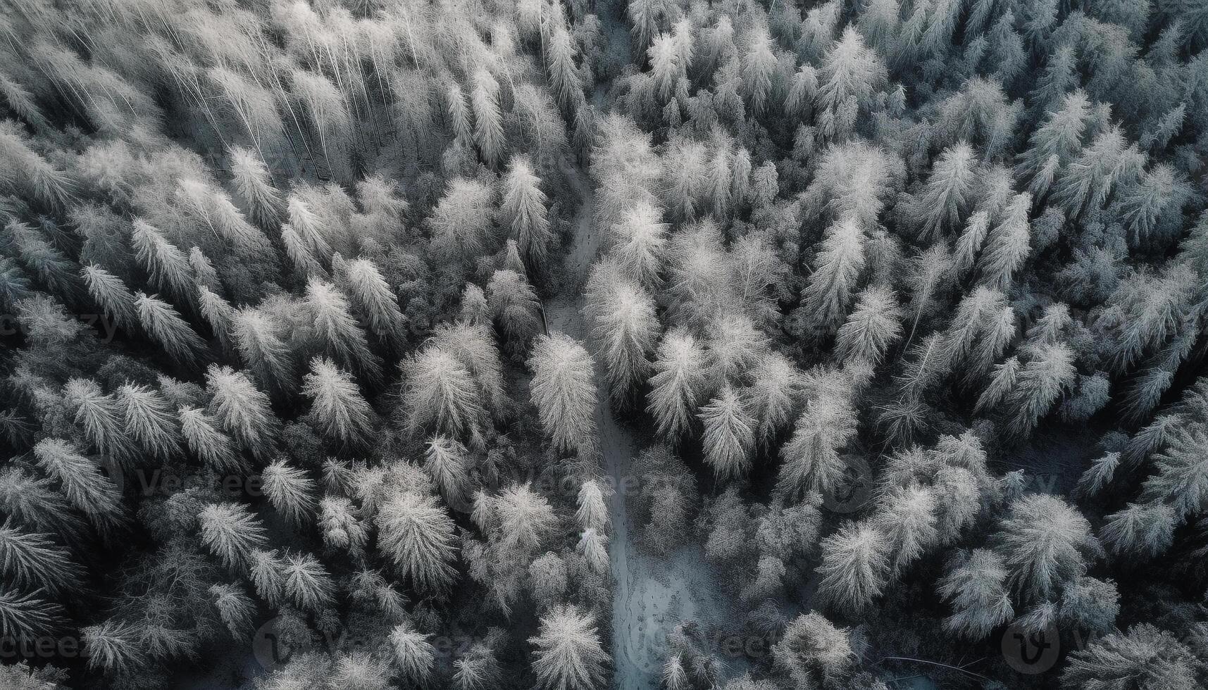 High up, flying drone captures winter wonderland photo