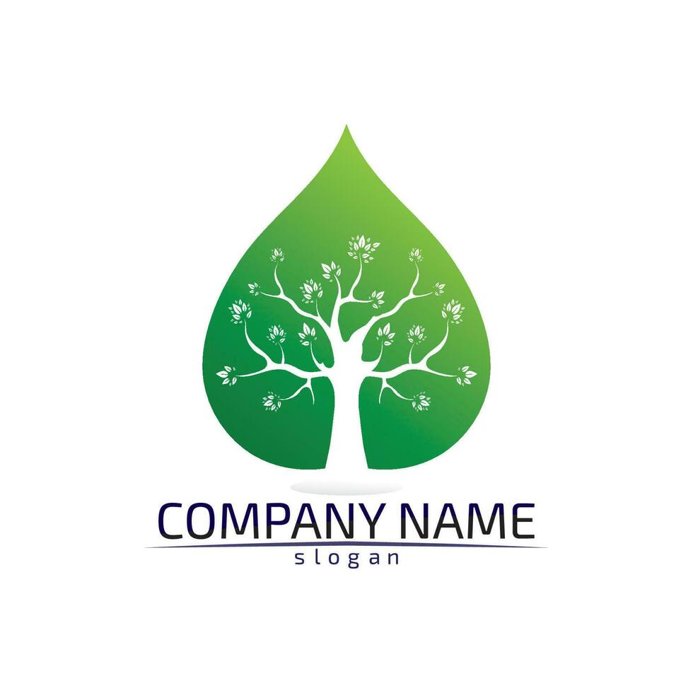Tree leaf vector design eco friendly concept logo