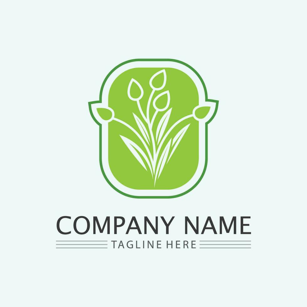 vector de diseño de logotipo de hoja para plantilla de símbolo de naturaleza editable, icono de vector de elemento de naturaleza de ecología de logotipo de hoja verde.