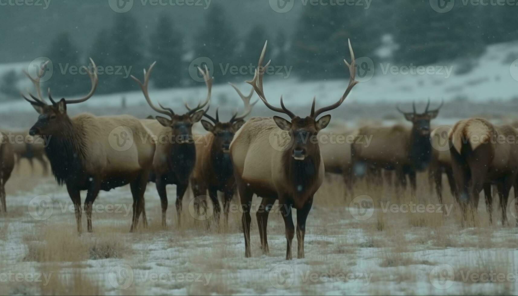 Horned stag stands in snowy forest landscape generated by AI photo