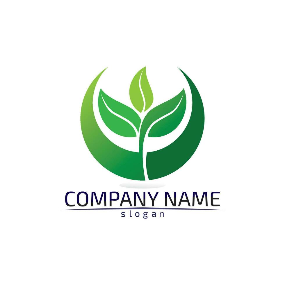 Tree leaf vector design eco friendly concept logo