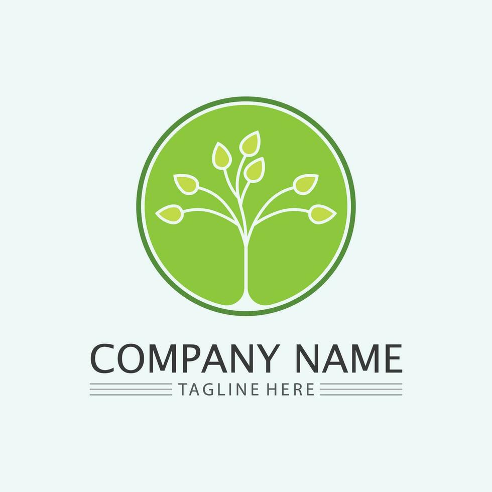 leaf logo design vector for nature symbol template editable,Green leaf logo ecology nature element vector icon.