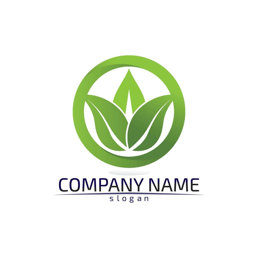 Tree leaf vector design eco friendly concept logo