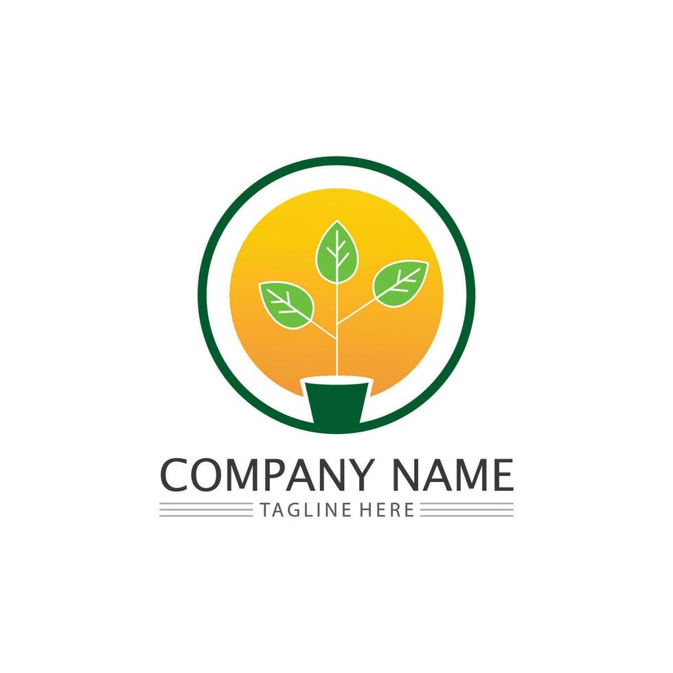Logos of green Tree leaf ecology vector