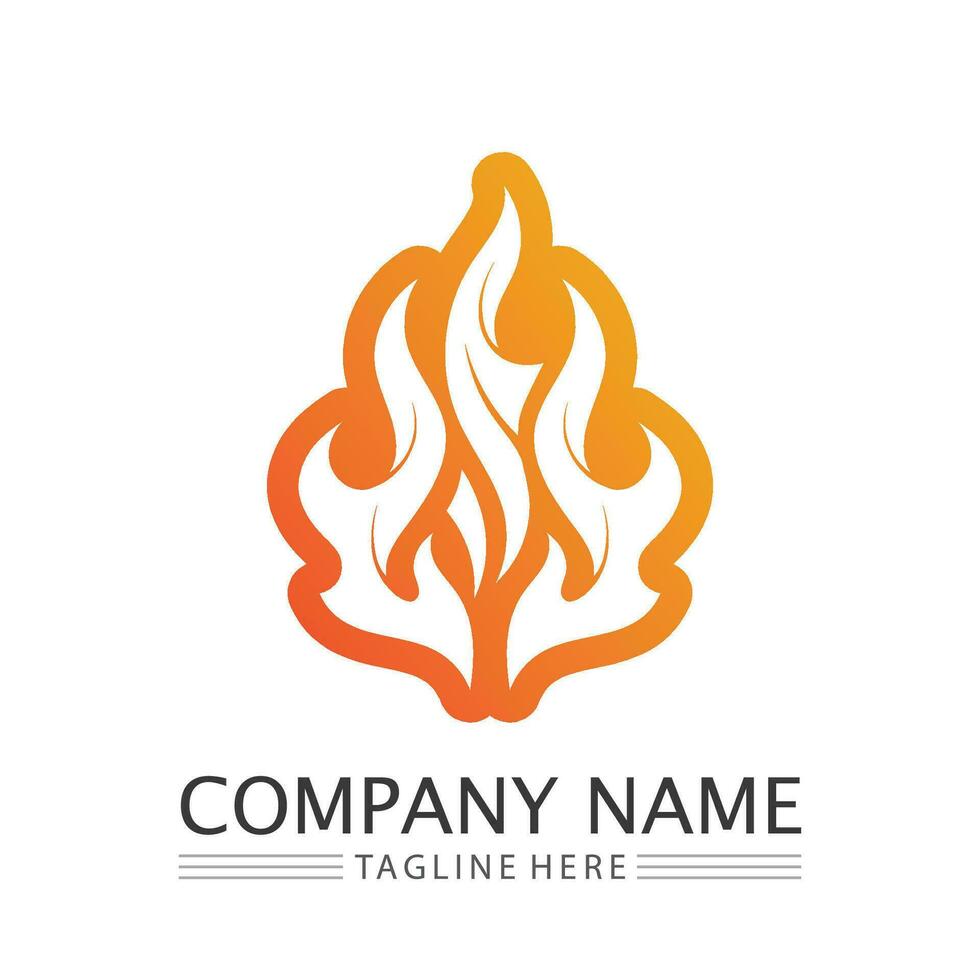 fire flame logo icon vector design template