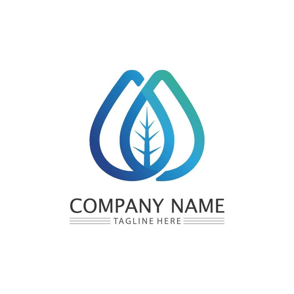 Water drop Logo Template vector