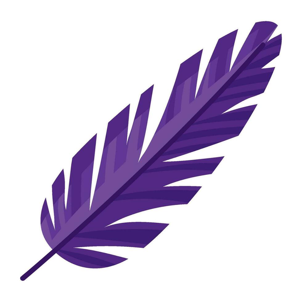purple feather vector over white