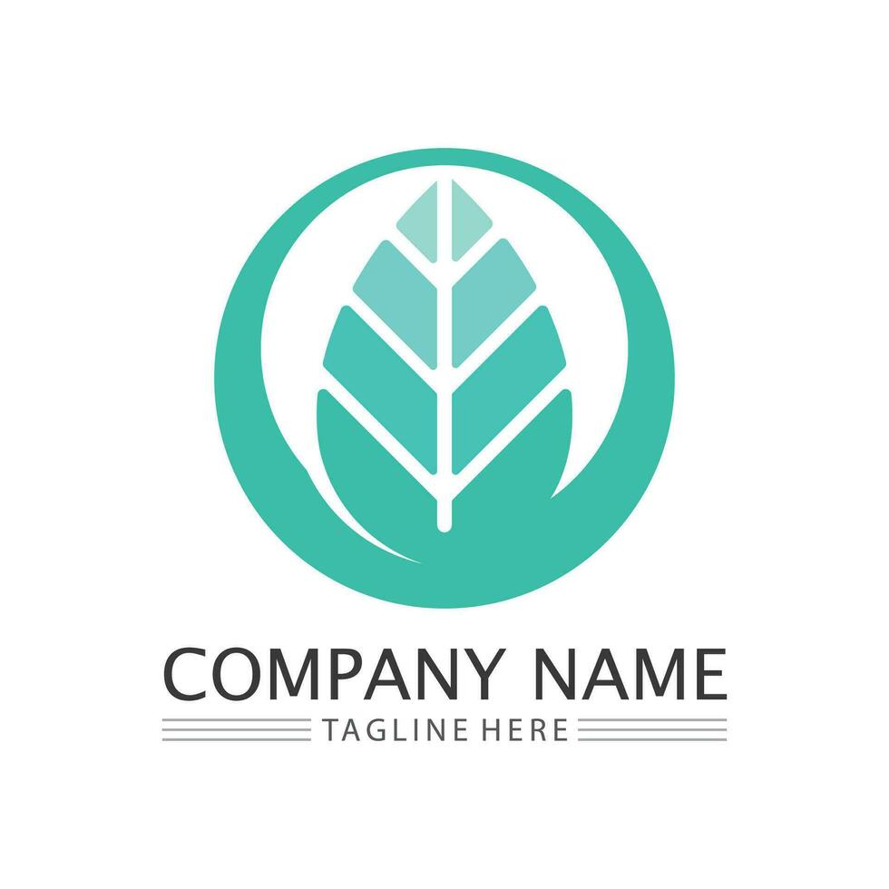 Tree logo icon vector illustration design.Vector silhouette of a tree templates of tree logo and roots  tree of life design illustration