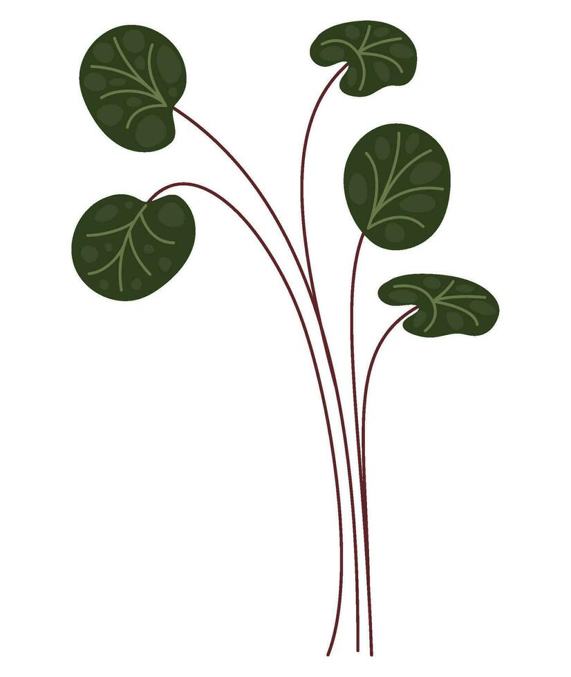 plant branch design over white vector