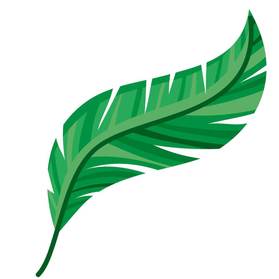 green feather design over white 24719225 Vector Art at Vecteezy