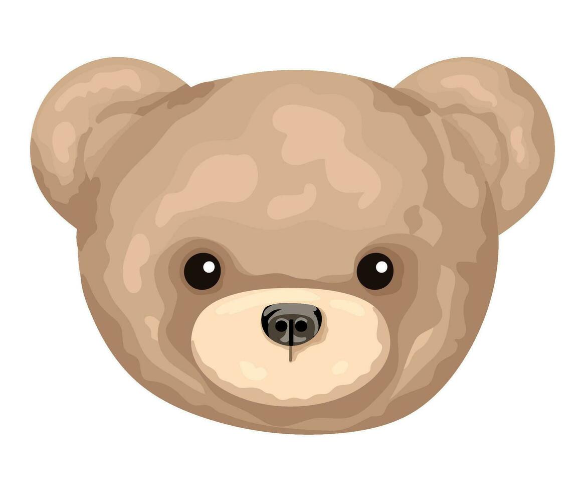 cute face bear over white vector