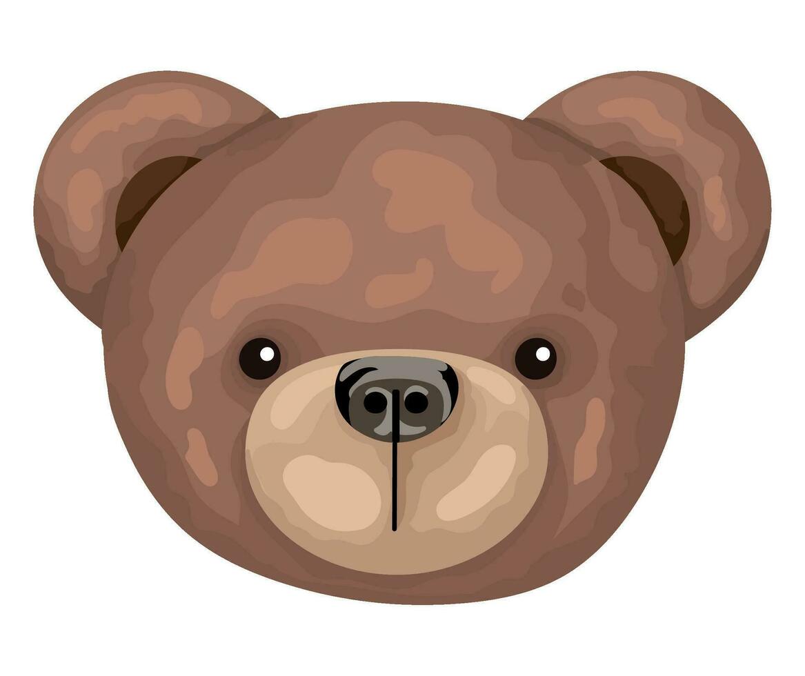 prett teddy face over white vector