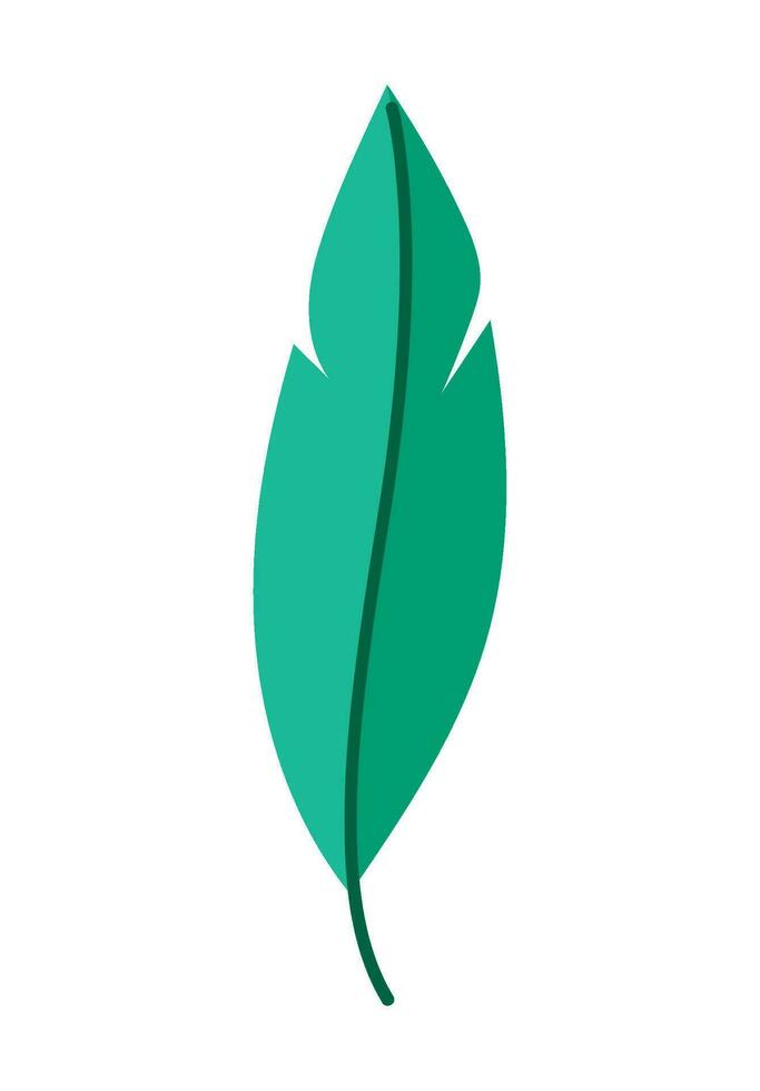 green feather vector over white