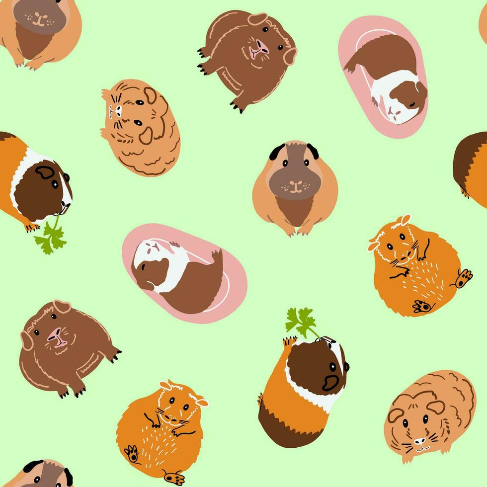 Seamless pattern with guinea pigs of different breeds. Rodent repeat pattern. Cartoon vector illustration.