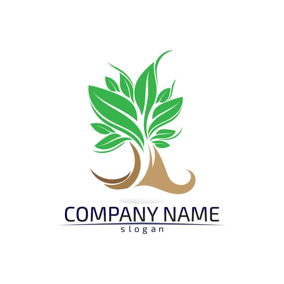 Tree leaf vector design eco friendly concept logo