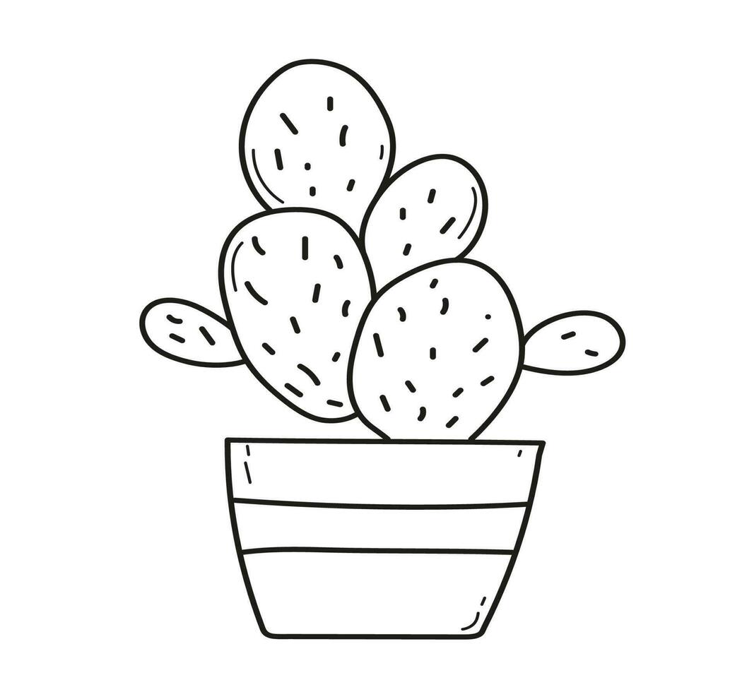 Cactuse in the pots. Hand drawn doodle outline vector illustration.