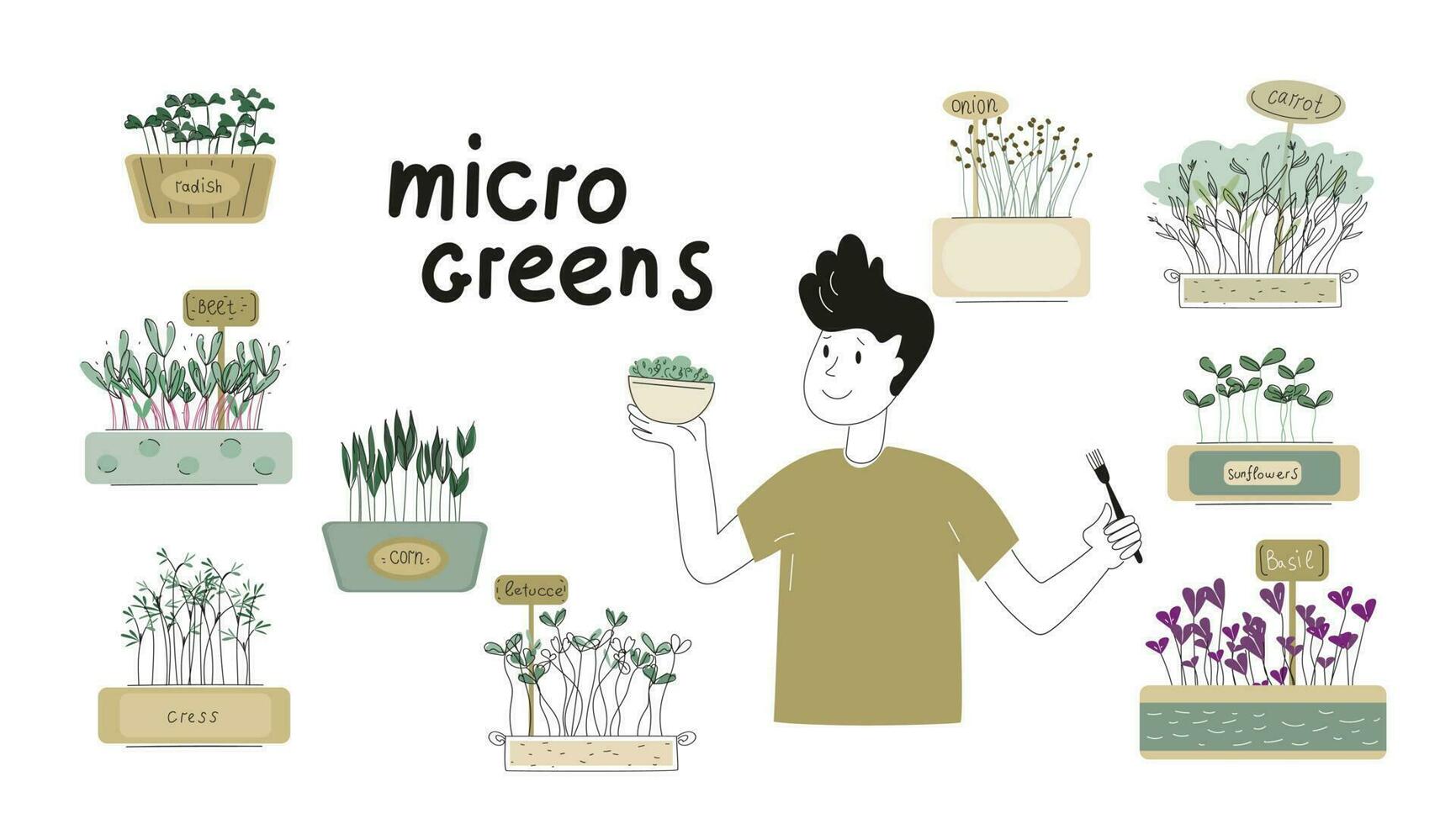microgreens in a container. Healthy vegan food. Vector set llustration in doodle style