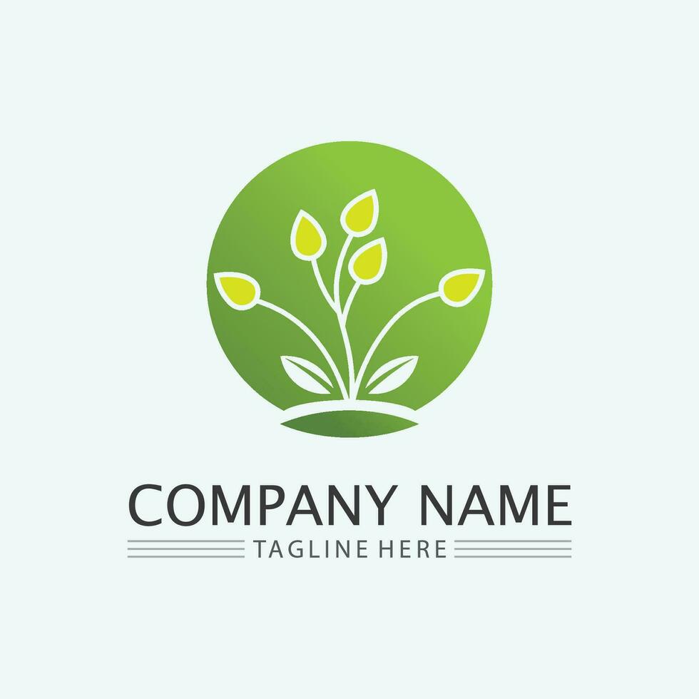 leaf logo design vector for nature symbol template editable,Green leaf logo ecology nature element vector icon.