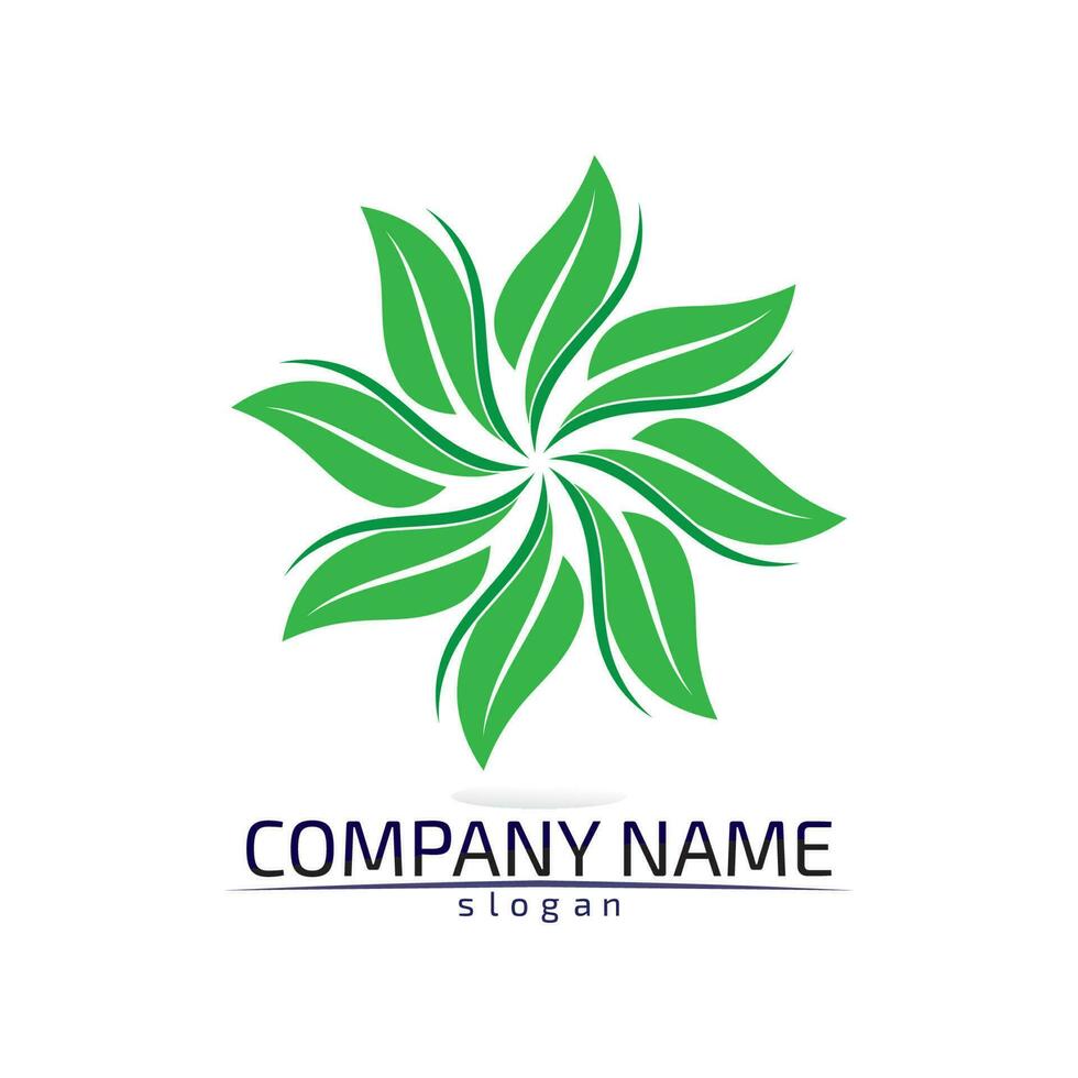 Tree leaf vector design eco friendly concept logo