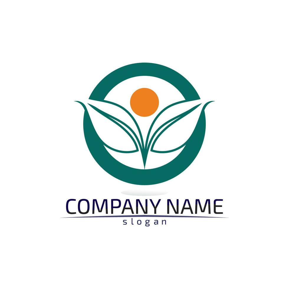 Tree leaf vector design eco friendly concept logo