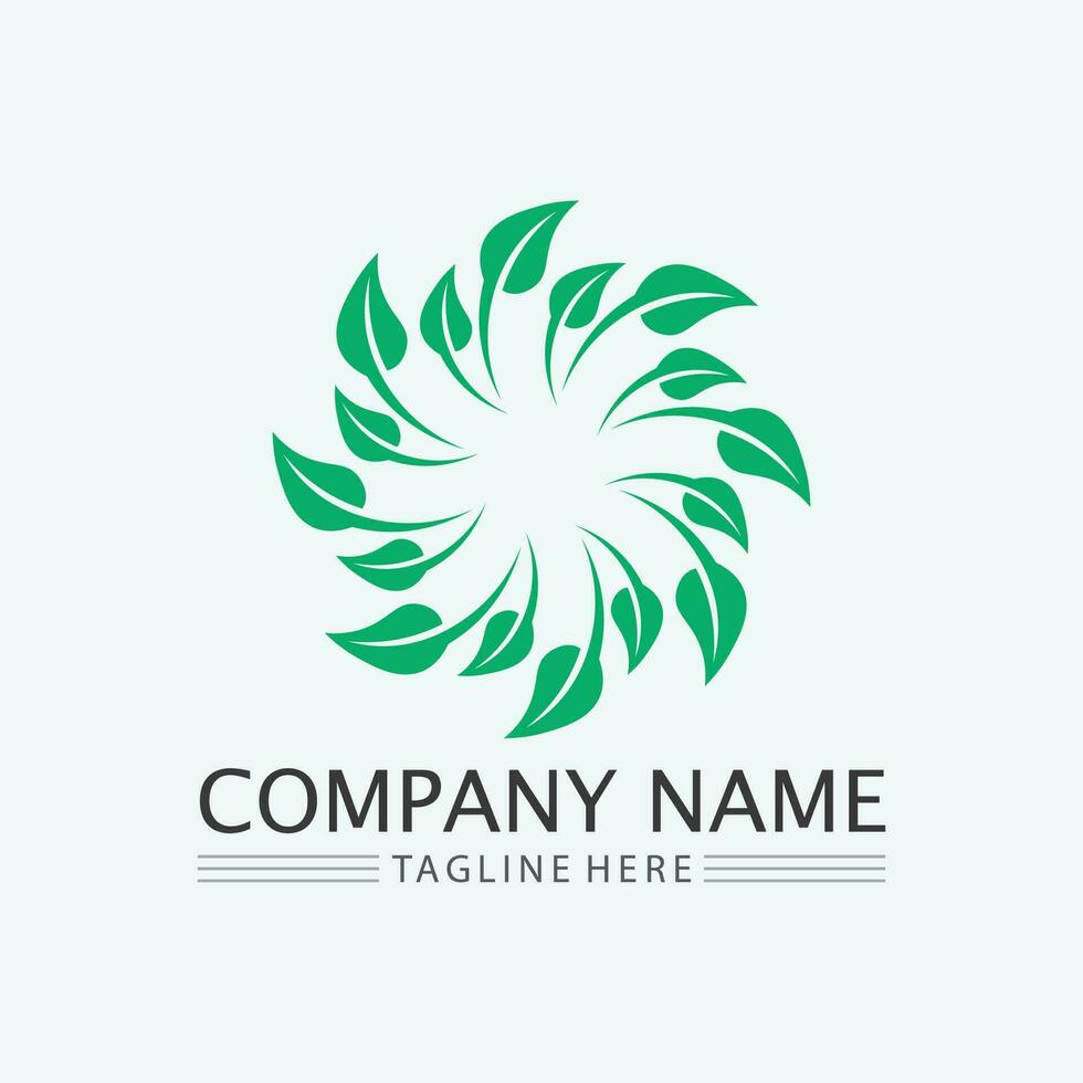 leaf logo design vector for nature symbol template editable,Green leaf logo ecology nature element vector icon.