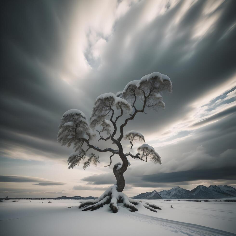 Winter landscape with frozen lake and snowy tree. Dramatic sky. photo